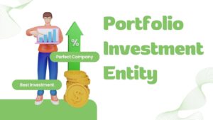 What is a Portfolio Investment Entity New Zealand?