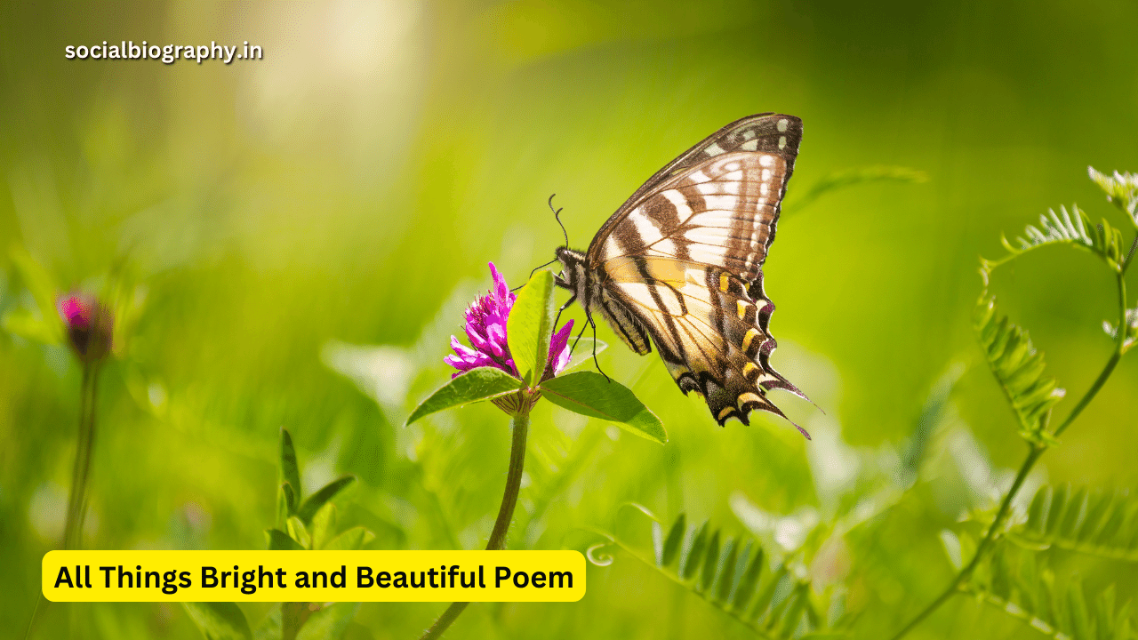 All Things Bright and Beautiful Poem: Lyrics, Author, Summary, PDF 2023