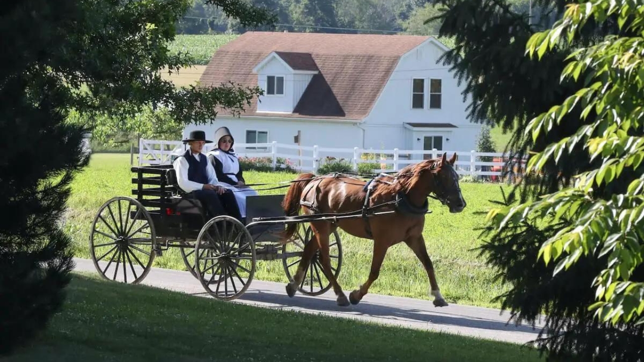 Do Amish Pay Taxes? Understanding Whether the Amish Community Pays Taxes in the United States