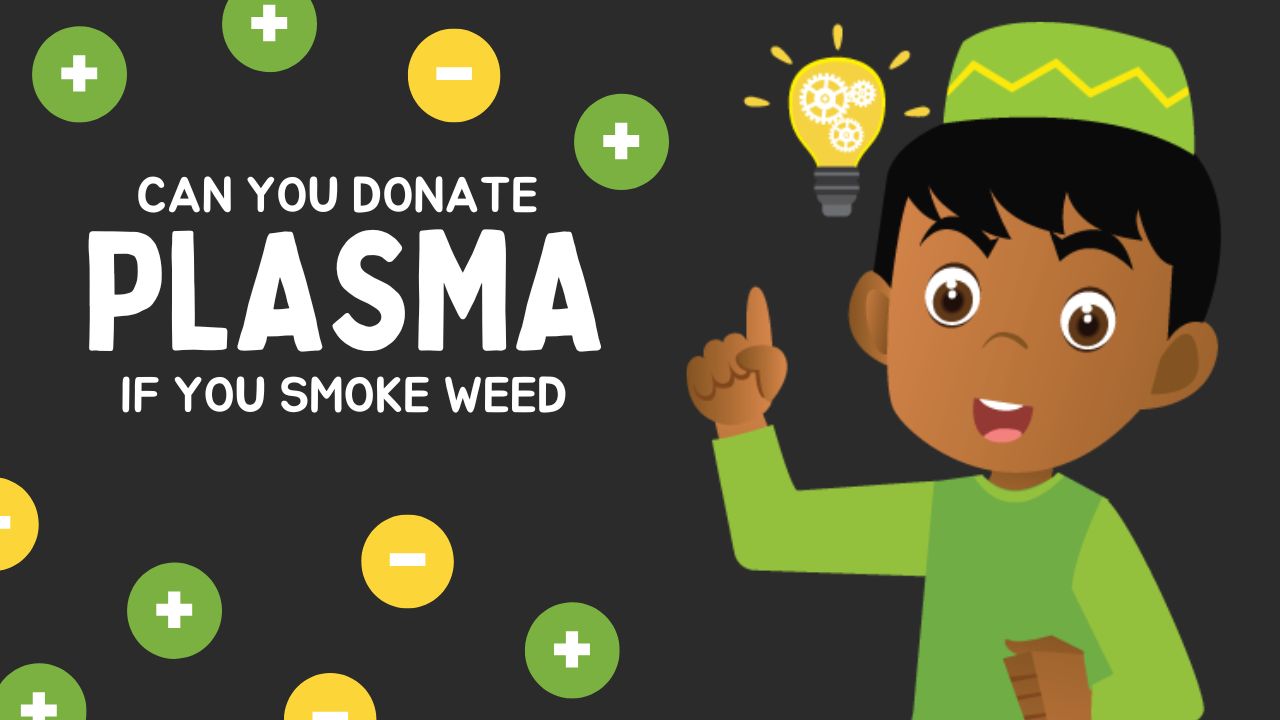 Can You Donate Plasma if you Smoke Weed in 2023 | Can You Donate Plasma If You Smoke Medical Weed