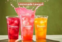 The Zesty Details of the Lemonade Lawsuit: Citrus Controversy 2024