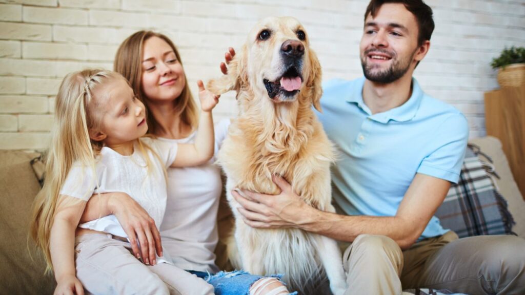 A Guide to Renters Insurance for Pet Owners: Pet-Proof Your Policy