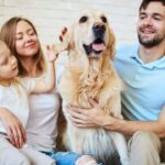 A Guide to Renters Insurance for Pet Owners: Pet-Proof Your Policy