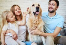 A Guide to Renters Insurance for Pet Owners: Pet-Proof Your Policy