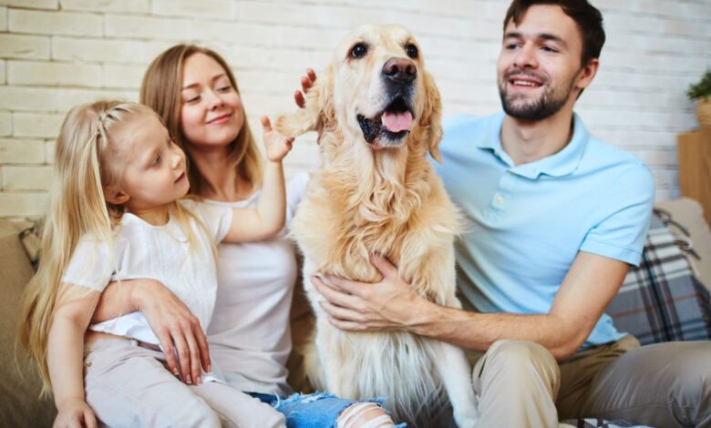 A Guide to Renters Insurance for Pet Owners: Pet-Proof Your Policy